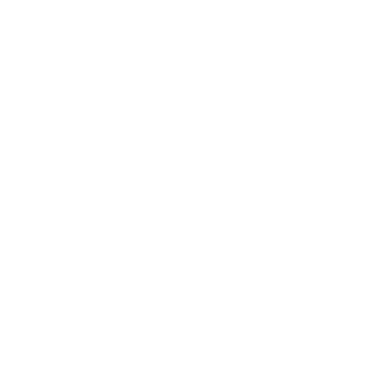 Critical Risk — L'architecte du risque
